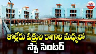 Kolleru Resort in Eluru  కొల్లేరు పక్షుల రాగాల మధ్యలో స్పా సెంటర్  ABN Digital Exclusives [upl. by Reta]