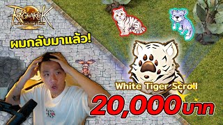 กลับมาเล่นใหม่ 20000 นี้ เพื่อ White Tiger Scroll  Ragnarok Landverse [upl. by Anirbus76]