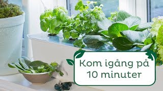 Kom igång på 10 minuter – hydroponisk odling med Harvy [upl. by Ynhoj]