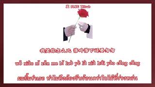 THAISUBPINYIN Bomb比尔 — 0222心动  晚风带着你的笑 懵懵懂懂 [upl. by Aidualk]