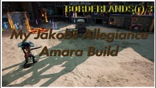 Borderlands 3  My Jakobs Allegiance Amara Build and Gallery  PS4 [upl. by Ettenotna]