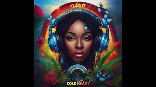 Cold Heart Riddim Feat Busy Signal Christopher Martin Richie Spice dj exray 2024 latest [upl. by Selrahc]