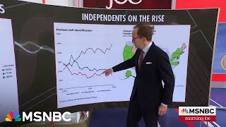 Steve Rattner Why Independent voters are on the rise [upl. by Einomrah]