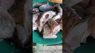 Video Menggoreng ikan kerling di pedalaman Aceh shortsvideo kulinerfood cheflife [upl. by Tosch407]