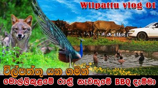 විල්පත්තු යන ගමන් නාලා රෑ මොල්ලිකුලම නැවතු‌මේ කට්ටියත් එක්ක BBQ දැම්මා wilpattu national park vlog [upl. by Arie55]