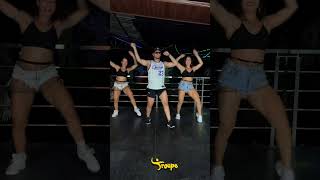 VENENOSA  POCAH TRIZ E MC GW  Troupe Fit Coreografia Oficialshorts [upl. by Esnahc]