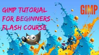 Gimp Tutorial For Beginners Flash Course [upl. by Idnat860]