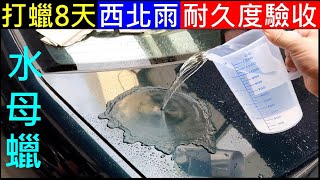 汽車打蠟8天後【西北雨耐久度驗收】白同學汽車蠟測試 [upl. by Niawtna]