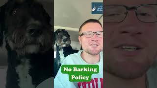 No Barking Policy bernedoodle doodle dog funny funnydog doglife doglover [upl. by Elyagiba]