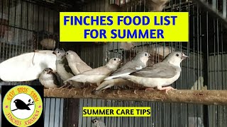 FINCHES FOOD LIST FINCHES FOOD LIST FOR SUMMER  தமிழ்  FINCHES SUMMER CARE FOOD LIST FOR FINCHES [upl. by Rahab462]