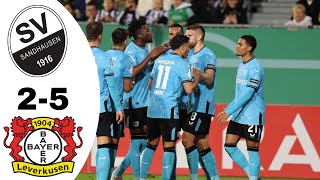 SV Sandhausen VS Bayer Leverkusen 25 Highlights  DFB Pokal 20232024 [upl. by Nate]