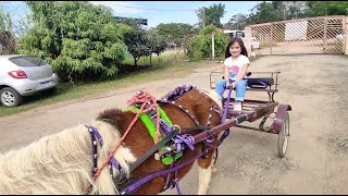 CRIANÇA ANDANDO DE CAVALO LEVEI A MAMÃE ANDAR DE CHARRETE NOSSA PONEI MINI HORSE CAVALO DE CHARRETE [upl. by Gussman]