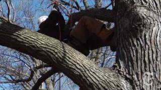 NYRegion A Tree Climber Grows in the Bronx  nytimescomvideo [upl. by Vanna]