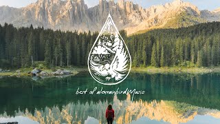 Best of alexrainbirdMusic 2023 🎉  An IndiePopFolkRock Playlist [upl. by Kerstin]