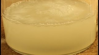 Starting a Liquid Yeast Culture [upl. by Ressan]