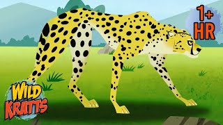 Speedy Cheetahs  Wildest Moments of Amazing Powers  Wild Kratts [upl. by Allets944]