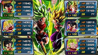 FULL KALE amp CAULIFLA TEAM SHOWCASE Dragon Ball Z Dokkan Battle [upl. by Forest]