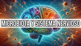 🔄️ RELACIÓN entre la Microbiota y el Sistema Nervioso  Mar Alonso [upl. by Teews]