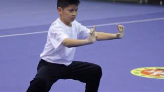 Tao Nan Wushu in Beijing  December 2011 [upl. by Lainahtan]