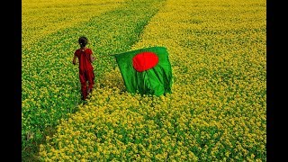 Amar Sonar Bangla Ami Tomai Valobashi Bangladesh National Song [upl. by Keeton]