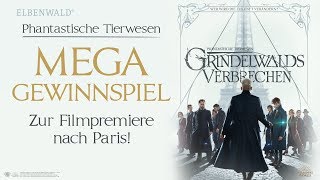 Wir bringen dich zur Weltpremiere von Grindelwalds Verbrechen [upl. by Ocsicnarf]