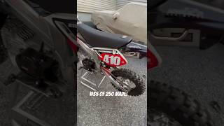 Daytona 190cc BBR Pit Bike 🔥 bikelife pitbike moto motocross dirtbike shorts [upl. by Palmer10]