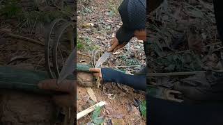 Simple ground squirrel trap for survivalsurviveintheforest survival diy [upl. by Rahab]