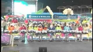 Diamond Steel Orchestra  Celebration Panorama 2008 [upl. by Lodhia671]