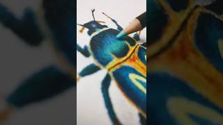 ✨Drawing a beetle with colour pencils✨ [upl. by Leugimesoj752]