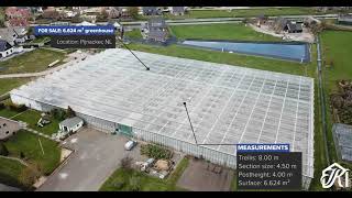 For sale Venlo greenhouse 800 m 6624 m² [upl. by Nidak]