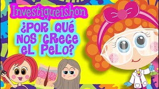 Por qué nos crece el pelo  Investigueishon  Distroller [upl. by Gall488]