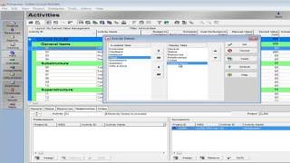 How to add new Tabs in Activity Details in Primavera p6mp4 [upl. by Nahtiek]