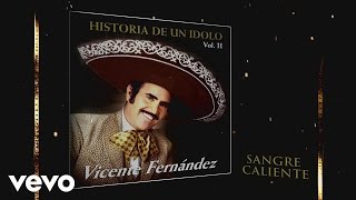 Vicente Fernández  Sangre Caliente Cover Audio [upl. by Niltag336]