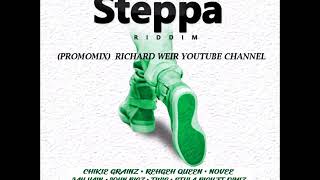 STEPPA RIDDIM MixFeb 2019 BAD BAD CITIZEN ENTERTAINMENT [upl. by Dupuy]