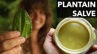 Making a Plantain Salve for Bug Bites [upl. by Jamnis626]