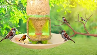 How to make bird feeder bird feeder from plastic bottle Homemade Bird Feeder  garden decor idea [upl. by Ahsenor]