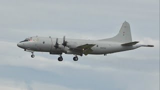 Lockheed P3C Orion German NAYV Marine Spotting at Nordholz AirBase ETMN [upl. by Rozanna]