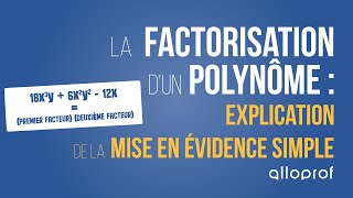 Factorisation dun polynôme  explication de la mise en évidence simple  Mathématiques  Alloprof [upl. by Shriner811]