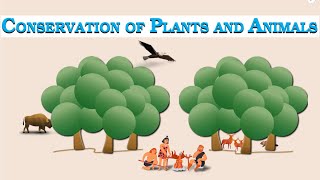 Class 8 Conservation of Plants and Animals [upl. by Llehsyt]