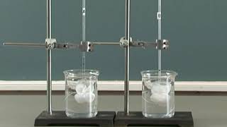 Video 31 Demonstration of osmosis using living animal tissue [upl. by Aninep212]