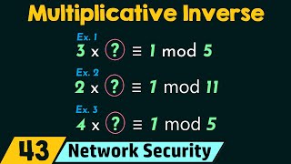 Multiplicative Inverse [upl. by Llehsad]