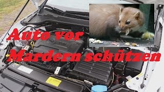 Mardersicher Auto vor Mardern schützen  Mardersicher Mobil MS12V Ultraschall und Strom [upl. by Kcirdlek11]