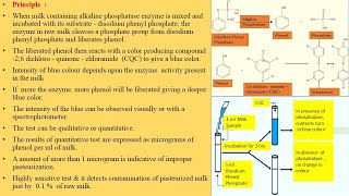 Milk Microbiology Part 5 Phosphatase Test [upl. by Ress165]