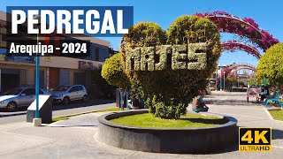 ¿Cuanto ha CRECIDO EL PEDREGAL Majes  Arequipa 4K  2024 [upl. by Bernetta]