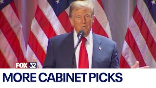 Trump makes more cabinet picks [upl. by Eeryn]