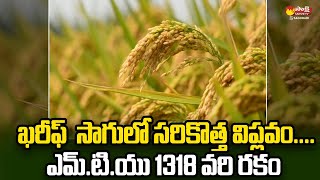 MTU 1318 Best Paddy Variety for Kharif  High Yielding Rice Variety SakshiTVSagubadi [upl. by Sellma]