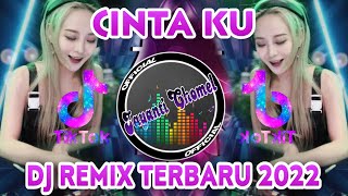 DJ CINTAKU  DALAM SEPIKU KAULAH CANDAKU  ANDRA RESPATI  REMIX TERBARU 2022 [upl. by Iives]