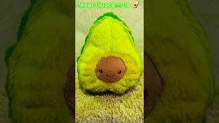 Hi there it’s Guacamole ￼ avocado 🥑 cute avocado YouTubechannel ￼ MarshmallowStarHopper522 [upl. by Ruella]