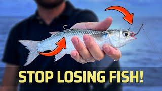 How To Hook Live Bait with Stinger Rig [upl. by Eatnad]