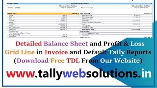 Detailed Balance Sheet amp Profit amp Loss with Grid Line in Tally Prime  Tallywebsolutions [upl. by Alvina]